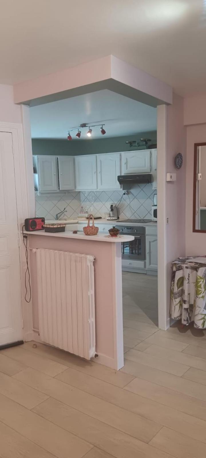 Appartement 120 M² Duplex Coeur Historique Au Calme Le Puy-en-Velay 외부 사진