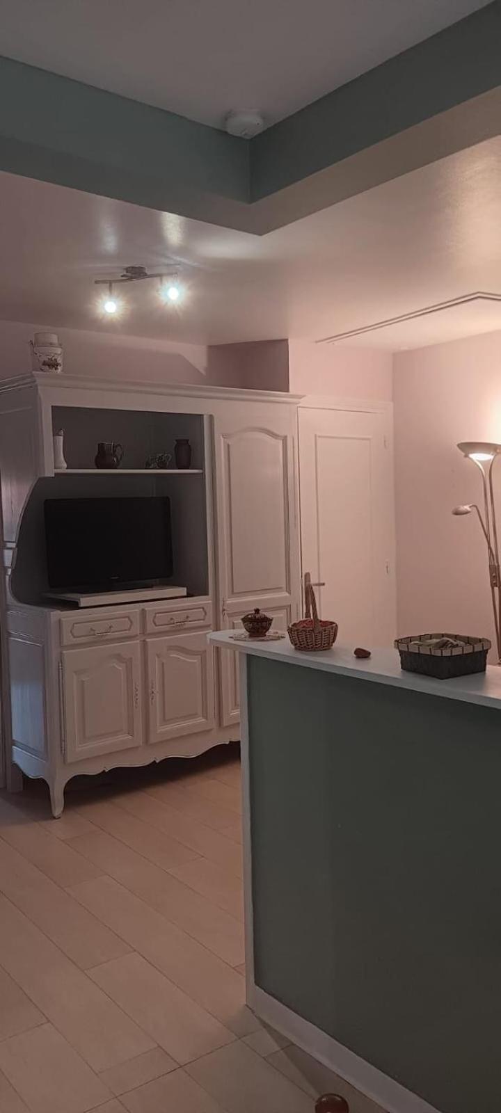 Appartement 120 M² Duplex Coeur Historique Au Calme Le Puy-en-Velay 외부 사진